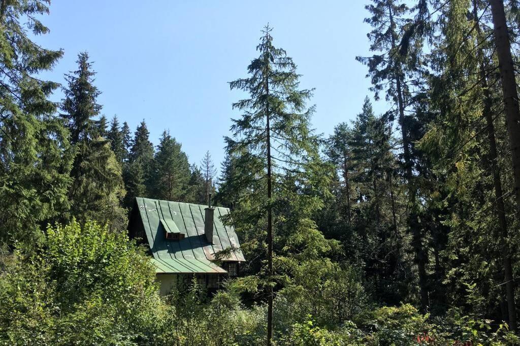 Enchanted Forest Chalet Tatranska Strba Bagian luar foto