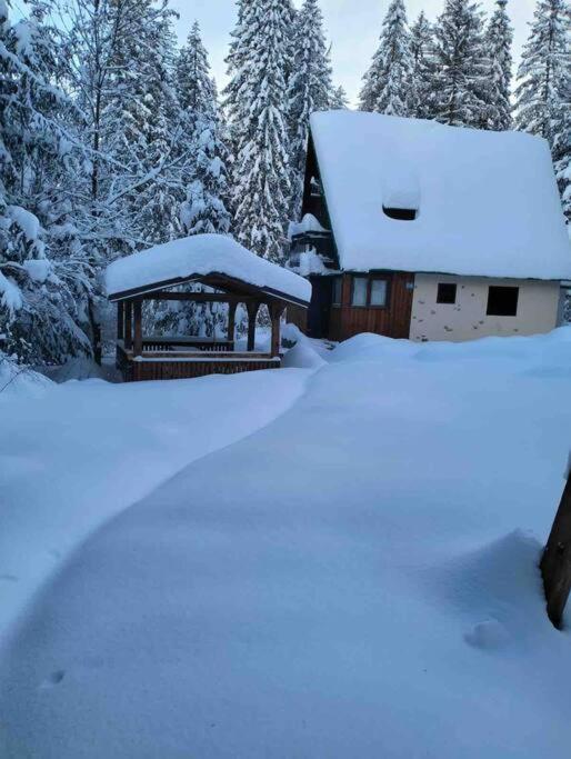 Enchanted Forest Chalet Tatranska Strba Bagian luar foto