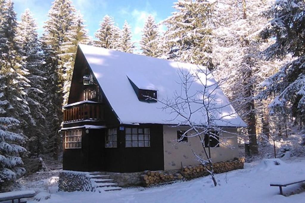 Enchanted Forest Chalet Tatranska Strba Bagian luar foto